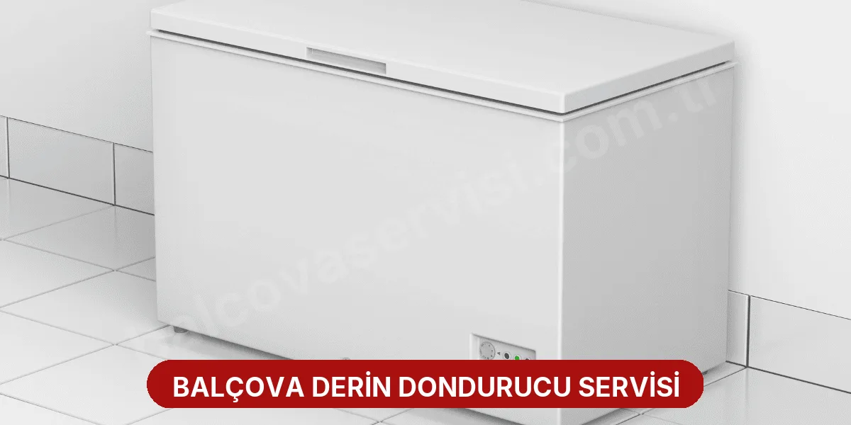 Balçova Derin Dondurucu Servisi