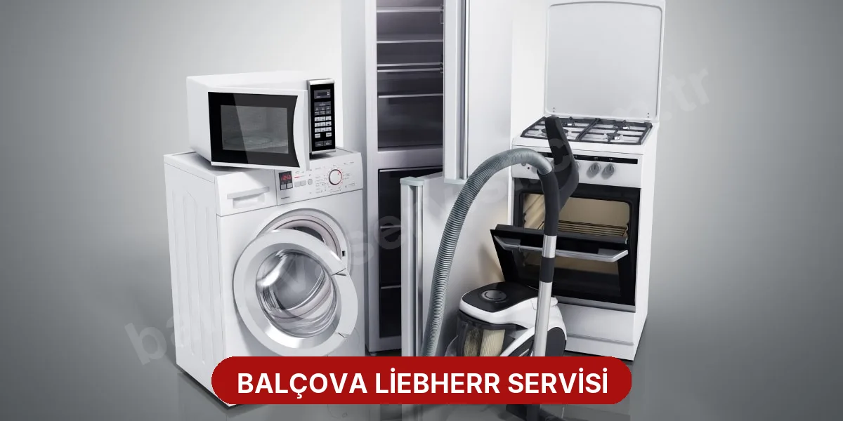 Balçova Liebherr Servisi